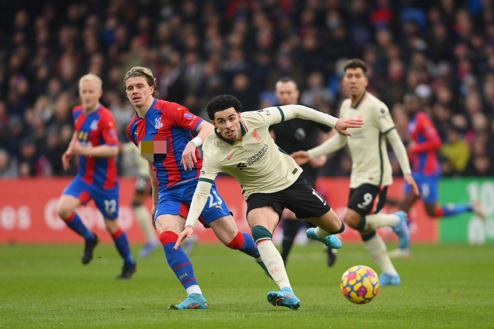 更多是质的 更多是质的